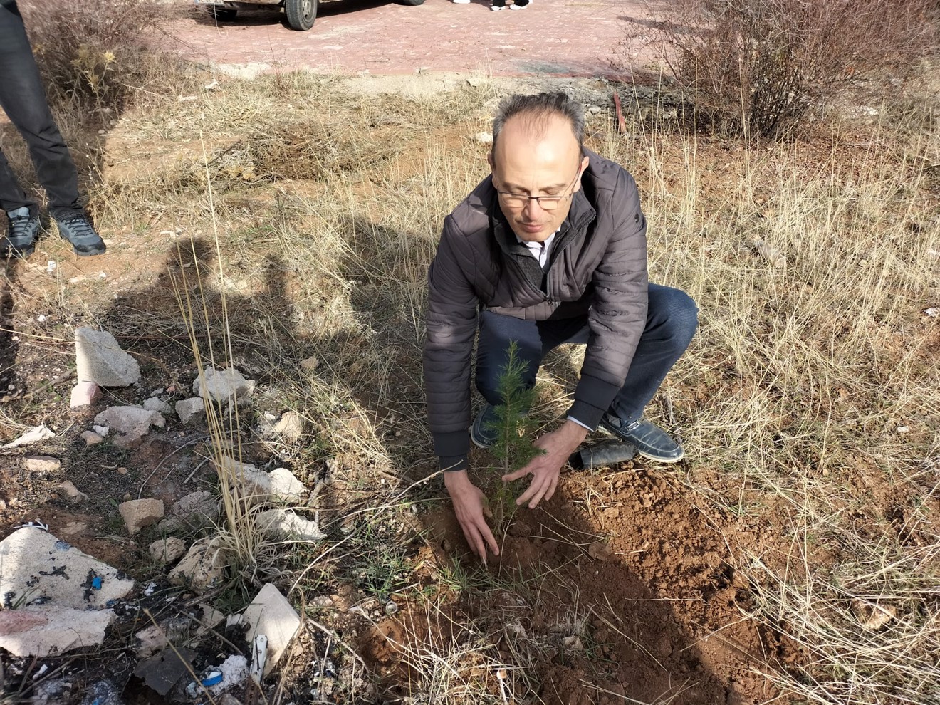 Her Çalışan Bir Fidan